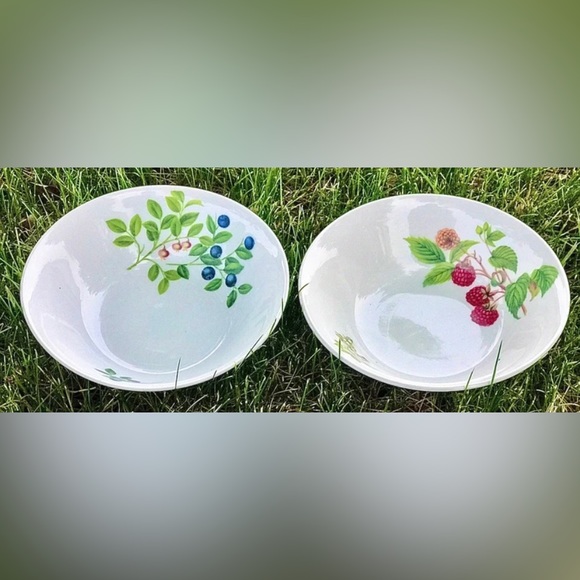 Set of 2 SELTMANN WEIDEN BAVARIA West Germany Qualitats Porzellan Soup Bowls - Picture 4 of 10